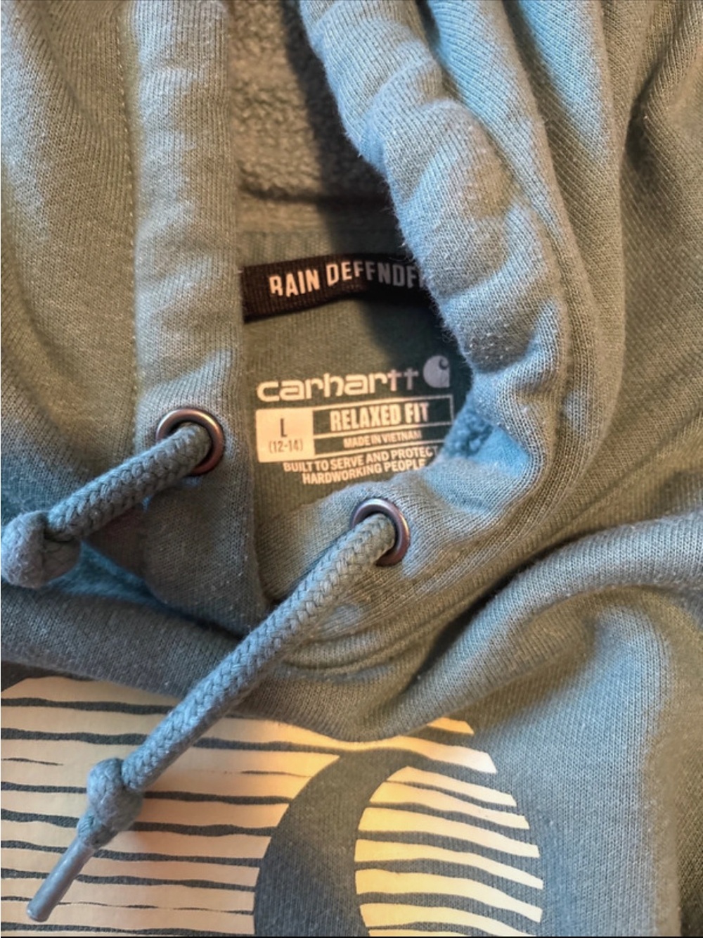Carhartt Women's Relaxed Fit Hoodie in Faded Green